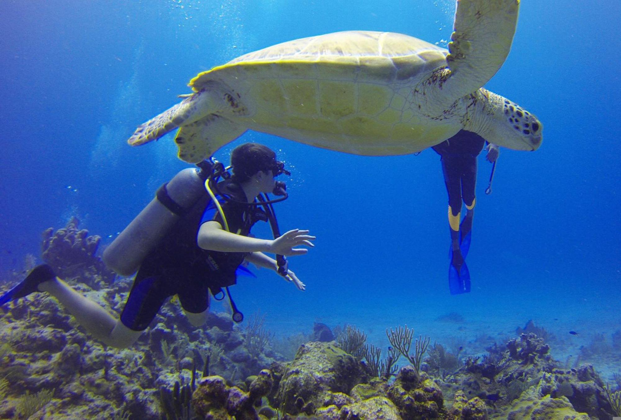 ホテル Roxon Red Sea Eilat - Adults Only エクステリア 写真